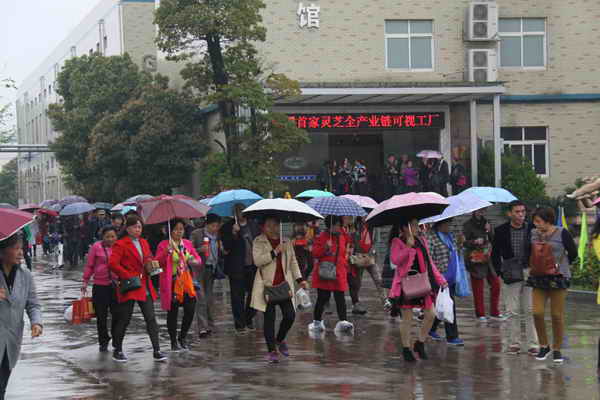 杭州亞運(yùn)會(huì)官方靈芝產(chǎn)品供應(yīng)商|杭州亞運(yùn)會(huì)官方供應(yīng)商|中國靈芝十大品牌|仙客來靈芝|仙客來靈芝破壁孢子粉|仙客來孢子油|仙客來靈芝飲片|仙客來破壁孢子粉|靈芝孢子油|孢子粉|靈芝破壁孢子粉|靈芝|中華老字號(hào) 杭州亞運(yùn)會(huì)官方靈芝產(chǎn)品供應(yīng)商|杭州亞運(yùn)會(huì)官方供應(yīng)商|中國靈芝十大品牌|仙客來靈芝|仙客來靈芝破壁孢子粉|仙客來孢子油|仙客來靈芝飲片|仙客來破壁孢子粉|靈芝孢子油|孢子粉|靈芝破壁孢子粉|靈芝|中華老字號(hào)