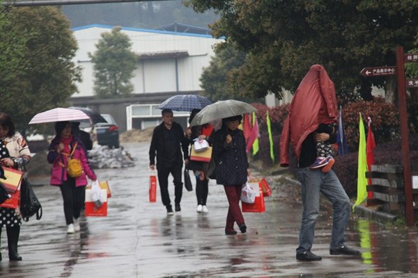 杭州亞運(yùn)會(huì)官方靈芝產(chǎn)品供應(yīng)商|杭州亞運(yùn)會(huì)官方供應(yīng)商|中國靈芝十大品牌|仙客來靈芝|仙客來靈芝破壁孢子粉|仙客來孢子油|仙客來靈芝飲片|仙客來破壁孢子粉|靈芝孢子油|孢子粉|靈芝破壁孢子粉|靈芝|中華老字號(hào) 杭州亞運(yùn)會(huì)官方靈芝產(chǎn)品供應(yīng)商|杭州亞運(yùn)會(huì)官方供應(yīng)商|中國靈芝十大品牌|仙客來靈芝|仙客來靈芝破壁孢子粉|仙客來孢子油|仙客來靈芝飲片|仙客來破壁孢子粉|靈芝孢子油|孢子粉|靈芝破壁孢子粉|靈芝|中華老字號(hào)