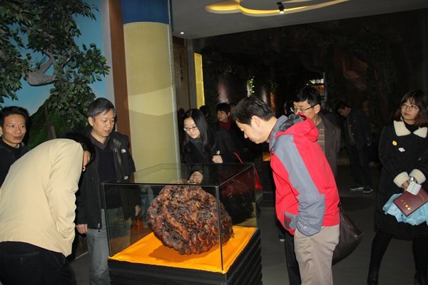 杭州亞運會官方靈芝產(chǎn)品供應(yīng)商|杭州亞運會官方供應(yīng)商|中國靈芝十大品牌|仙客來靈芝|仙客來靈芝破壁孢子粉|仙客來孢子油|仙客來靈芝飲片|仙客來破壁孢子粉|靈芝孢子油|孢子粉|靈芝破壁孢子粉|靈芝|中華老字號 杭州亞運會官方靈芝產(chǎn)品供應(yīng)商|杭州亞運會官方供應(yīng)商|中國靈芝十大品牌|仙客來靈芝|仙客來靈芝破壁孢子粉|仙客來孢子油|仙客來靈芝飲片|仙客來破壁孢子粉|靈芝孢子油|孢子粉|靈芝破壁孢子粉|靈芝|中華老字號