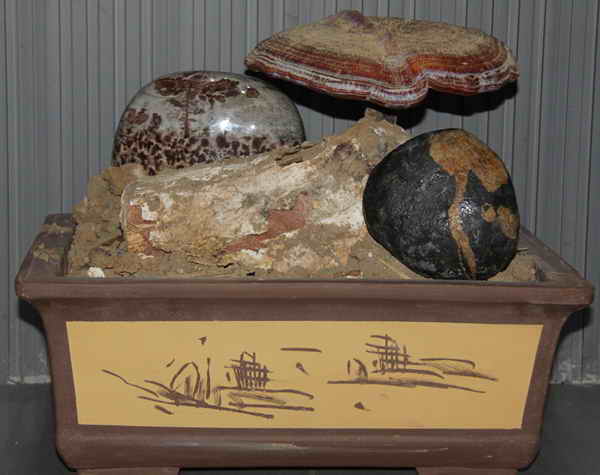 杭州亞運(yùn)會(huì)官方靈芝產(chǎn)品供應(yīng)商|杭州亞運(yùn)會(huì)官方供應(yīng)商|中國靈芝十大品牌|仙客來靈芝|仙客來靈芝破壁孢子粉|仙客來孢子油|仙客來靈芝飲片|仙客來破壁孢子粉|靈芝孢子油|孢子粉|靈芝破壁孢子粉|靈芝|中華老字號(hào)