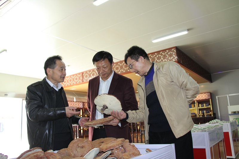 杭州亞運(yùn)會官方靈芝產(chǎn)品供應(yīng)商|杭州亞運(yùn)會官方供應(yīng)商|中國靈芝十大品牌|仙客來靈芝|仙客來靈芝破壁孢子粉|仙客來孢子油|仙客來靈芝飲片|仙客來破壁孢子粉|靈芝孢子油|孢子粉|靈芝破壁孢子粉|靈芝|中華老字號