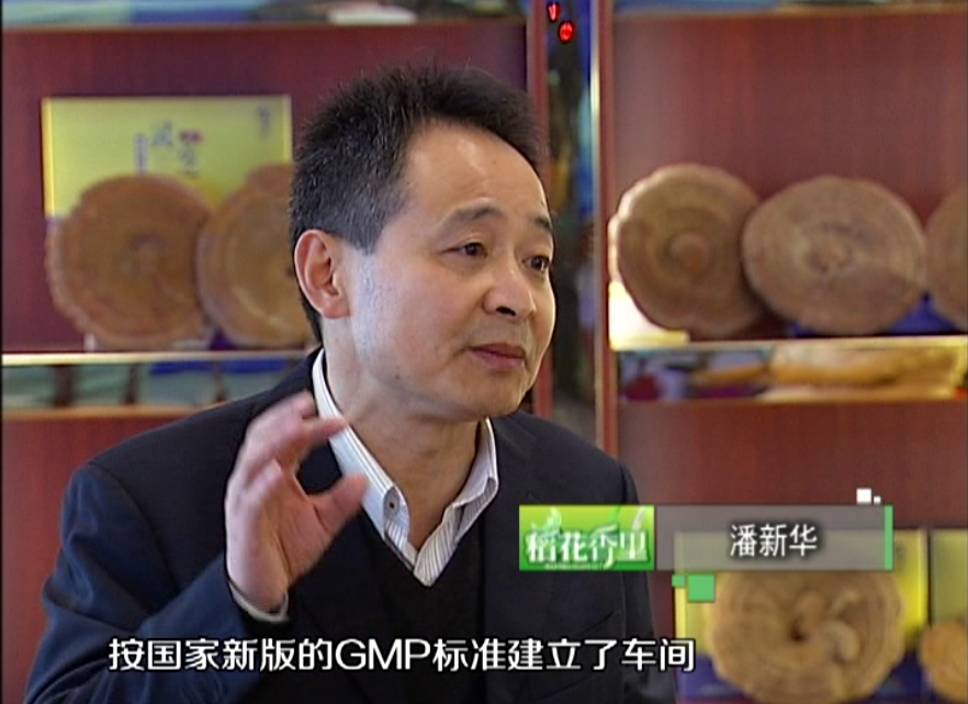 杭州亞運(yùn)會(huì)官方靈芝產(chǎn)品供應(yīng)商|杭州亞運(yùn)會(huì)官方供應(yīng)商|中國(guó)靈芝十大品牌|仙客來(lái)靈芝|仙客來(lái)靈芝破壁孢子粉|仙客來(lái)孢子油|仙客來(lái)靈芝飲片|仙客來(lái)破壁孢子粉|靈芝孢子油|孢子粉|靈芝破壁孢子粉|靈芝|中華老字號(hào)