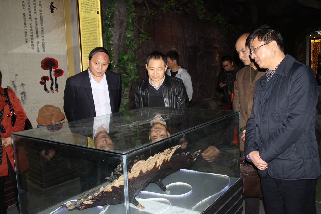 杭州亞運(yùn)會(huì)官方靈芝產(chǎn)品供應(yīng)商|杭州亞運(yùn)會(huì)官方供應(yīng)商|中國靈芝十大品牌|仙客來靈芝|仙客來靈芝破壁孢子粉|仙客來孢子油|仙客來靈芝飲片|仙客來破壁孢子粉|靈芝孢子油|孢子粉|靈芝破壁孢子粉|靈芝|中華老字號(hào)