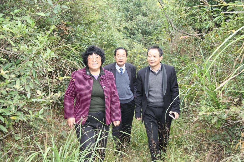 杭州亞運(yùn)會(huì)官方靈芝產(chǎn)品供應(yīng)商|杭州亞運(yùn)會(huì)官方供應(yīng)商|中國靈芝十大品牌|仙客來靈芝|仙客來靈芝破壁孢子粉|仙客來孢子油|仙客來靈芝飲片|仙客來破壁孢子粉|靈芝孢子油|孢子粉|靈芝破壁孢子粉|靈芝|中華老字號(hào) 杭州亞運(yùn)會(huì)官方靈芝產(chǎn)品供應(yīng)商|杭州亞運(yùn)會(huì)官方供應(yīng)商|中國靈芝十大品牌|仙客來靈芝|仙客來靈芝破壁孢子粉|仙客來孢子油|仙客來靈芝飲片|仙客來破壁孢子粉|靈芝孢子油|孢子粉|靈芝破壁孢子粉|靈芝|中華老字號(hào)