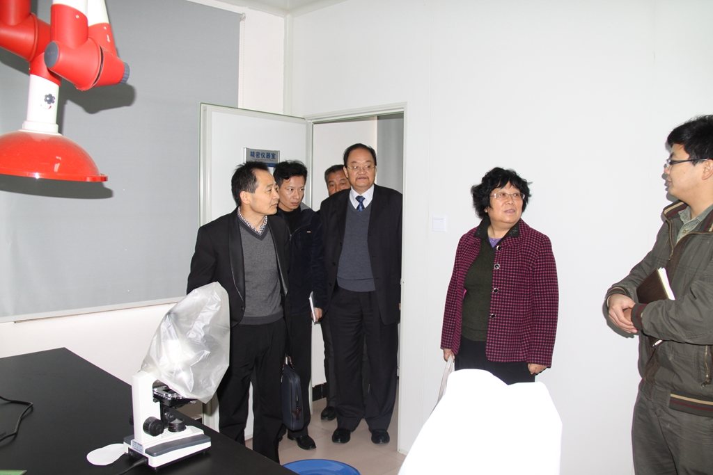 杭州亞運(yùn)會(huì)官方靈芝產(chǎn)品供應(yīng)商|杭州亞運(yùn)會(huì)官方供應(yīng)商|中國靈芝十大品牌|仙客來靈芝|仙客來靈芝破壁孢子粉|仙客來孢子油|仙客來靈芝飲片|仙客來破壁孢子粉|靈芝孢子油|孢子粉|靈芝破壁孢子粉|靈芝|中華老字號(hào)