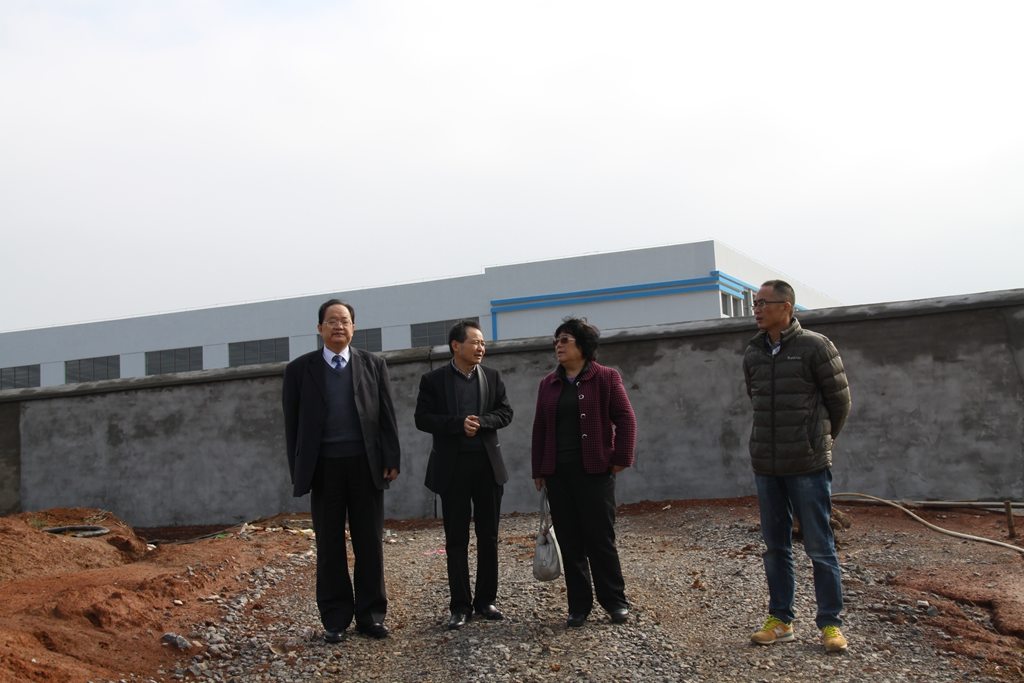 杭州亞運(yùn)會(huì)官方靈芝產(chǎn)品供應(yīng)商|杭州亞運(yùn)會(huì)官方供應(yīng)商|中國靈芝十大品牌|仙客來靈芝|仙客來靈芝破壁孢子粉|仙客來孢子油|仙客來靈芝飲片|仙客來破壁孢子粉|靈芝孢子油|孢子粉|靈芝破壁孢子粉|靈芝|中華老字號(hào)