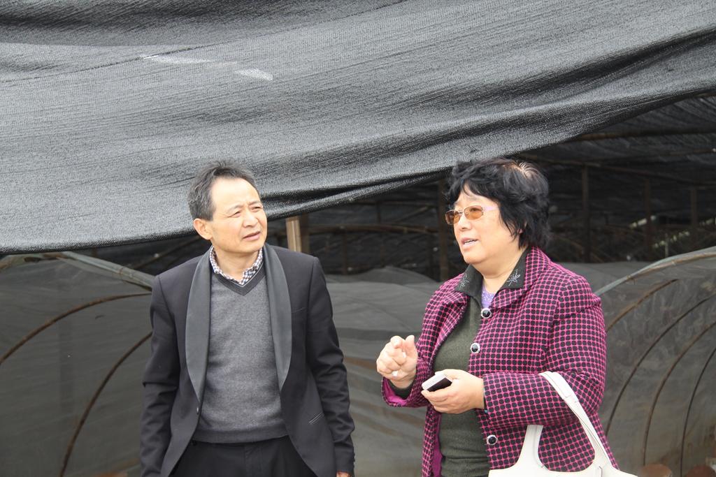 杭州亞運(yùn)會(huì)官方靈芝產(chǎn)品供應(yīng)商|杭州亞運(yùn)會(huì)官方供應(yīng)商|中國靈芝十大品牌|仙客來靈芝|仙客來靈芝破壁孢子粉|仙客來孢子油|仙客來靈芝飲片|仙客來破壁孢子粉|靈芝孢子油|孢子粉|靈芝破壁孢子粉|靈芝|中華老字號(hào)