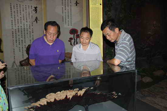 杭州亞運(yùn)會(huì)官方靈芝產(chǎn)品供應(yīng)商|杭州亞運(yùn)會(huì)官方供應(yīng)商|中國靈芝十大品牌|仙客來靈芝|仙客來靈芝破壁孢子粉|仙客來孢子油|仙客來靈芝飲片|仙客來破壁孢子粉|靈芝孢子油|孢子粉|靈芝破壁孢子粉|靈芝|中華老字號(hào)