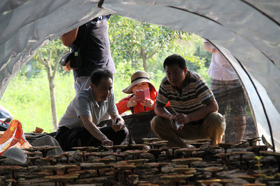 杭州亞運(yùn)會(huì)官方靈芝產(chǎn)品供應(yīng)商|杭州亞運(yùn)會(huì)官方供應(yīng)商|中國(guó)靈芝十大品牌|仙客來靈芝|仙客來靈芝破壁孢子粉|仙客來孢子油|仙客來靈芝飲片|仙客來破壁孢子粉|靈芝孢子油|孢子粉|靈芝破壁孢子粉|靈芝|中華老字號(hào)