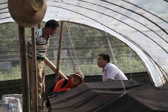 杭州亞運(yùn)會(huì)官方靈芝產(chǎn)品供應(yīng)商|杭州亞運(yùn)會(huì)官方供應(yīng)商|中國(guó)靈芝十大品牌|仙客來靈芝|仙客來靈芝破壁孢子粉|仙客來孢子油|仙客來靈芝飲片|仙客來破壁孢子粉|靈芝孢子油|孢子粉|靈芝破壁孢子粉|靈芝|中華老字號(hào)