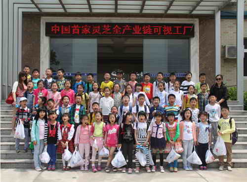 杭州亞運會官方靈芝產(chǎn)品供應(yīng)商|杭州亞運會官方供應(yīng)商|中國靈芝十大品牌|仙客來靈芝|仙客來靈芝破壁孢子粉|仙客來孢子油|仙客來靈芝飲片|仙客來破壁孢子粉|靈芝孢子油|孢子粉|靈芝破壁孢子粉|靈芝|中華老字號 杭州亞運會官方靈芝產(chǎn)品供應(yīng)商|杭州亞運會官方供應(yīng)商|中國靈芝十大品牌|仙客來靈芝|仙客來靈芝破壁孢子粉|仙客來孢子油|仙客來靈芝飲片|仙客來破壁孢子粉|靈芝孢子油|孢子粉|靈芝破壁孢子粉|靈芝|中華老字號