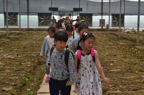 杭州亞運會官方靈芝產(chǎn)品供應(yīng)商|杭州亞運會官方供應(yīng)商|中國靈芝十大品牌|仙客來靈芝|仙客來靈芝破壁孢子粉|仙客來孢子油|仙客來靈芝飲片|仙客來破壁孢子粉|靈芝孢子油|孢子粉|靈芝破壁孢子粉|靈芝|中華老字號 杭州亞運會官方靈芝產(chǎn)品供應(yīng)商|杭州亞運會官方供應(yīng)商|中國靈芝十大品牌|仙客來靈芝|仙客來靈芝破壁孢子粉|仙客來孢子油|仙客來靈芝飲片|仙客來破壁孢子粉|靈芝孢子油|孢子粉|靈芝破壁孢子粉|靈芝|中華老字號