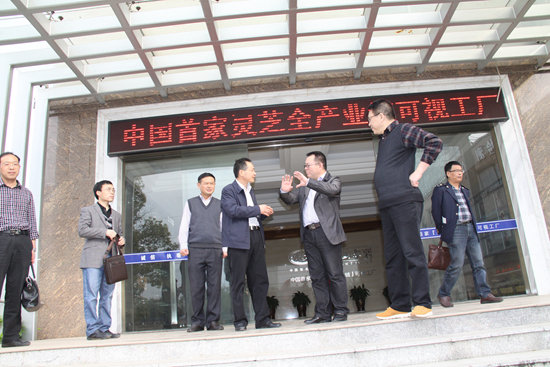 杭州亞運(yùn)會官方靈芝產(chǎn)品供應(yīng)商|杭州亞運(yùn)會官方供應(yīng)商|中國靈芝十大品牌|仙客來靈芝|仙客來靈芝破壁孢子粉|仙客來孢子油|仙客來靈芝飲片|仙客來破壁孢子粉|靈芝孢子油|孢子粉|靈芝破壁孢子粉|靈芝|中華老字號 杭州亞運(yùn)會官方靈芝產(chǎn)品供應(yīng)商|杭州亞運(yùn)會官方供應(yīng)商|中國靈芝十大品牌|仙客來靈芝|仙客來靈芝破壁孢子粉|仙客來孢子油|仙客來靈芝飲片|仙客來破壁孢子粉|靈芝孢子油|孢子粉|靈芝破壁孢子粉|靈芝|中華老字號