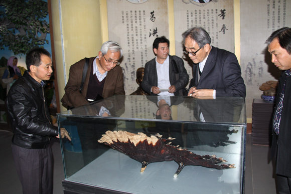 杭州亞運會官方靈芝產(chǎn)品供應(yīng)商|杭州亞運會官方供應(yīng)商|中國靈芝十大品牌|仙客來靈芝|仙客來靈芝破壁孢子粉|仙客來孢子油|仙客來靈芝飲片|仙客來破壁孢子粉|靈芝孢子油|孢子粉|靈芝破壁孢子粉|靈芝|中華老字號 杭州亞運會官方靈芝產(chǎn)品供應(yīng)商|杭州亞運會官方供應(yīng)商|中國靈芝十大品牌|仙客來靈芝|仙客來靈芝破壁孢子粉|仙客來孢子油|仙客來靈芝飲片|仙客來破壁孢子粉|靈芝孢子油|孢子粉|靈芝破壁孢子粉|靈芝|中華老字號