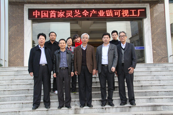 杭州亞運會官方靈芝產(chǎn)品供應(yīng)商|杭州亞運會官方供應(yīng)商|中國靈芝十大品牌|仙客來靈芝|仙客來靈芝破壁孢子粉|仙客來孢子油|仙客來靈芝飲片|仙客來破壁孢子粉|靈芝孢子油|孢子粉|靈芝破壁孢子粉|靈芝|中華老字號 杭州亞運會官方靈芝產(chǎn)品供應(yīng)商|杭州亞運會官方供應(yīng)商|中國靈芝十大品牌|仙客來靈芝|仙客來靈芝破壁孢子粉|仙客來孢子油|仙客來靈芝飲片|仙客來破壁孢子粉|靈芝孢子油|孢子粉|靈芝破壁孢子粉|靈芝|中華老字號