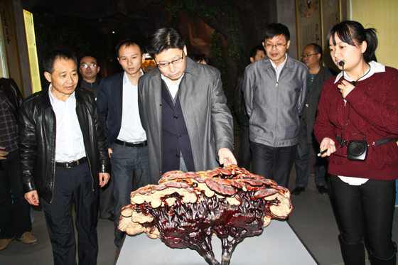 杭州亞運(yùn)會(huì)官方靈芝產(chǎn)品供應(yīng)商|杭州亞運(yùn)會(huì)官方供應(yīng)商|中國靈芝十大品牌|仙客來靈芝|仙客來靈芝破壁孢子粉|仙客來孢子油|仙客來靈芝飲片|仙客來破壁孢子粉|靈芝孢子油|孢子粉|靈芝破壁孢子粉|靈芝|中華老字號(hào) 杭州亞運(yùn)會(huì)官方靈芝產(chǎn)品供應(yīng)商|杭州亞運(yùn)會(huì)官方供應(yīng)商|中國靈芝十大品牌|仙客來靈芝|仙客來靈芝破壁孢子粉|仙客來孢子油|仙客來靈芝飲片|仙客來破壁孢子粉|靈芝孢子油|孢子粉|靈芝破壁孢子粉|靈芝|中華老字號(hào)