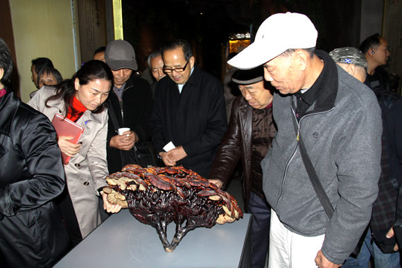 杭州亞運(yùn)會(huì)官方靈芝產(chǎn)品供應(yīng)商|杭州亞運(yùn)會(huì)官方供應(yīng)商|中國靈芝十大品牌|仙客來靈芝|仙客來靈芝破壁孢子粉|仙客來孢子油|仙客來靈芝飲片|仙客來破壁孢子粉|靈芝孢子油|孢子粉|靈芝破壁孢子粉|靈芝|中華老字號(hào) 杭州亞運(yùn)會(huì)官方靈芝產(chǎn)品供應(yīng)商|杭州亞運(yùn)會(huì)官方供應(yīng)商|中國靈芝十大品牌|仙客來靈芝|仙客來靈芝破壁孢子粉|仙客來孢子油|仙客來靈芝飲片|仙客來破壁孢子粉|靈芝孢子油|孢子粉|靈芝破壁孢子粉|靈芝|中華老字號(hào)