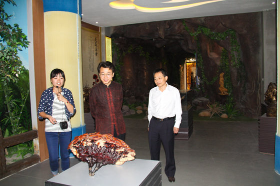 杭州亞運(yùn)會(huì)官方靈芝產(chǎn)品供應(yīng)商|杭州亞運(yùn)會(huì)官方供應(yīng)商|中國(guó)靈芝十大品牌|仙客來靈芝|仙客來靈芝破壁孢子粉|仙客來孢子油|仙客來靈芝飲片|仙客來破壁孢子粉|靈芝孢子油|孢子粉|靈芝破壁孢子粉|靈芝|中華老字號(hào) 杭州亞運(yùn)會(huì)官方靈芝產(chǎn)品供應(yīng)商|杭州亞運(yùn)會(huì)官方供應(yīng)商|中國(guó)靈芝十大品牌|仙客來靈芝|仙客來靈芝破壁孢子粉|仙客來孢子油|仙客來靈芝飲片|仙客來破壁孢子粉|靈芝孢子油|孢子粉|靈芝破壁孢子粉|靈芝|中華老字號(hào)