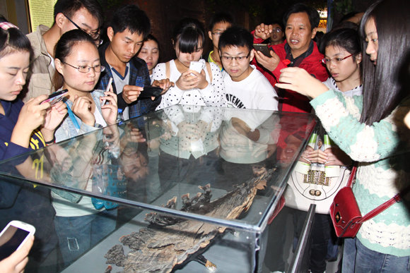 杭州亞運會官方靈芝產(chǎn)品供應(yīng)商|杭州亞運會官方供應(yīng)商|中國靈芝十大品牌|仙客來靈芝|仙客來靈芝破壁孢子粉|仙客來孢子油|仙客來靈芝飲片|仙客來破壁孢子粉|靈芝孢子油|孢子粉|靈芝破壁孢子粉|靈芝|中華老字號 杭州亞運會官方靈芝產(chǎn)品供應(yīng)商|杭州亞運會官方供應(yīng)商|中國靈芝十大品牌|仙客來靈芝|仙客來靈芝破壁孢子粉|仙客來孢子油|仙客來靈芝飲片|仙客來破壁孢子粉|靈芝孢子油|孢子粉|靈芝破壁孢子粉|靈芝|中華老字號