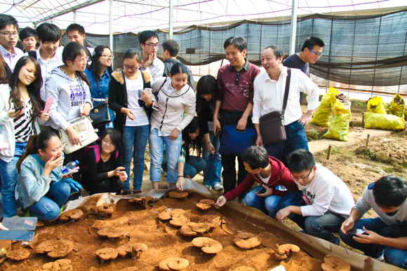 杭州亞運會官方靈芝產(chǎn)品供應(yīng)商|杭州亞運會官方供應(yīng)商|中國靈芝十大品牌|仙客來靈芝|仙客來靈芝破壁孢子粉|仙客來孢子油|仙客來靈芝飲片|仙客來破壁孢子粉|靈芝孢子油|孢子粉|靈芝破壁孢子粉|靈芝|中華老字號 杭州亞運會官方靈芝產(chǎn)品供應(yīng)商|杭州亞運會官方供應(yīng)商|中國靈芝十大品牌|仙客來靈芝|仙客來靈芝破壁孢子粉|仙客來孢子油|仙客來靈芝飲片|仙客來破壁孢子粉|靈芝孢子油|孢子粉|靈芝破壁孢子粉|靈芝|中華老字號