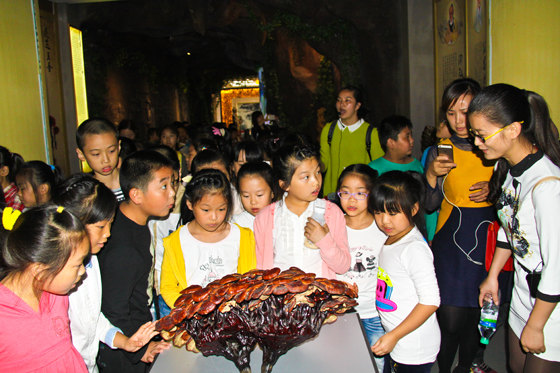 杭州亞運(yùn)會官方靈芝產(chǎn)品供應(yīng)商|杭州亞運(yùn)會官方供應(yīng)商|中國靈芝十大品牌|仙客來靈芝|仙客來靈芝破壁孢子粉|仙客來孢子油|仙客來靈芝飲片|仙客來破壁孢子粉|靈芝孢子油|孢子粉|靈芝破壁孢子粉|靈芝|中華老字號 杭州亞運(yùn)會官方靈芝產(chǎn)品供應(yīng)商|杭州亞運(yùn)會官方供應(yīng)商|中國靈芝十大品牌|仙客來靈芝|仙客來靈芝破壁孢子粉|仙客來孢子油|仙客來靈芝飲片|仙客來破壁孢子粉|靈芝孢子油|孢子粉|靈芝破壁孢子粉|靈芝|中華老字號