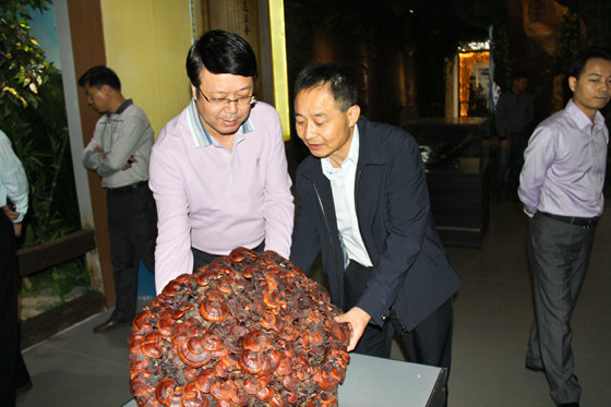 杭州亞運(yùn)會(huì)官方靈芝產(chǎn)品供應(yīng)商|杭州亞運(yùn)會(huì)官方供應(yīng)商|中國(guó)靈芝十大品牌|仙客來(lái)靈芝|仙客來(lái)靈芝破壁孢子粉|仙客來(lái)孢子油|仙客來(lái)靈芝飲片|仙客來(lái)破壁孢子粉|靈芝孢子油|孢子粉|靈芝破壁孢子粉|靈芝|中華老字號(hào) 杭州亞運(yùn)會(huì)官方靈芝產(chǎn)品供應(yīng)商|杭州亞運(yùn)會(huì)官方供應(yīng)商|中國(guó)靈芝十大品牌|仙客來(lái)靈芝|仙客來(lái)靈芝破壁孢子粉|仙客來(lái)孢子油|仙客來(lái)靈芝飲片|仙客來(lái)破壁孢子粉|靈芝孢子油|孢子粉|靈芝破壁孢子粉|靈芝|中華老字號(hào)