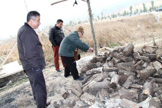 杭州亞運(yùn)會官方靈芝產(chǎn)品供應(yīng)商|杭州亞運(yùn)會官方供應(yīng)商|中國靈芝十大品牌|仙客來靈芝|仙客來靈芝破壁孢子粉|仙客來孢子油|仙客來靈芝飲片|仙客來破壁孢子粉|靈芝孢子油|孢子粉|靈芝破壁孢子粉|靈芝|中華老字號 杭州亞運(yùn)會官方靈芝產(chǎn)品供應(yīng)商|杭州亞運(yùn)會官方供應(yīng)商|中國靈芝十大品牌|仙客來靈芝|仙客來靈芝破壁孢子粉|仙客來孢子油|仙客來靈芝飲片|仙客來破壁孢子粉|靈芝孢子油|孢子粉|靈芝破壁孢子粉|靈芝|中華老字號