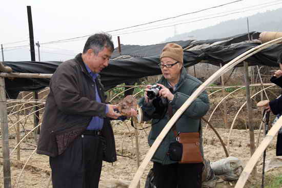 杭州亞運(yùn)會官方靈芝產(chǎn)品供應(yīng)商|杭州亞運(yùn)會官方供應(yīng)商|中國靈芝十大品牌|仙客來靈芝|仙客來靈芝破壁孢子粉|仙客來孢子油|仙客來靈芝飲片|仙客來破壁孢子粉|靈芝孢子油|孢子粉|靈芝破壁孢子粉|靈芝|中華老字號 杭州亞運(yùn)會官方靈芝產(chǎn)品供應(yīng)商|杭州亞運(yùn)會官方供應(yīng)商|中國靈芝十大品牌|仙客來靈芝|仙客來靈芝破壁孢子粉|仙客來孢子油|仙客來靈芝飲片|仙客來破壁孢子粉|靈芝孢子油|孢子粉|靈芝破壁孢子粉|靈芝|中華老字號