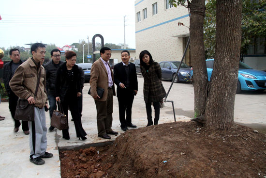 杭州亞運會官方靈芝產(chǎn)品供應商|杭州亞運會官方供應商|中國靈芝十大品牌|仙客來靈芝|仙客來靈芝破壁孢子粉|仙客來孢子油|仙客來靈芝飲片|仙客來破壁孢子粉|靈芝孢子油|孢子粉|靈芝破壁孢子粉|靈芝|中華老字號 杭州亞運會官方靈芝產(chǎn)品供應商|杭州亞運會官方供應商|中國靈芝十大品牌|仙客來靈芝|仙客來靈芝破壁孢子粉|仙客來孢子油|仙客來靈芝飲片|仙客來破壁孢子粉|靈芝孢子油|孢子粉|靈芝破壁孢子粉|靈芝|中華老字號