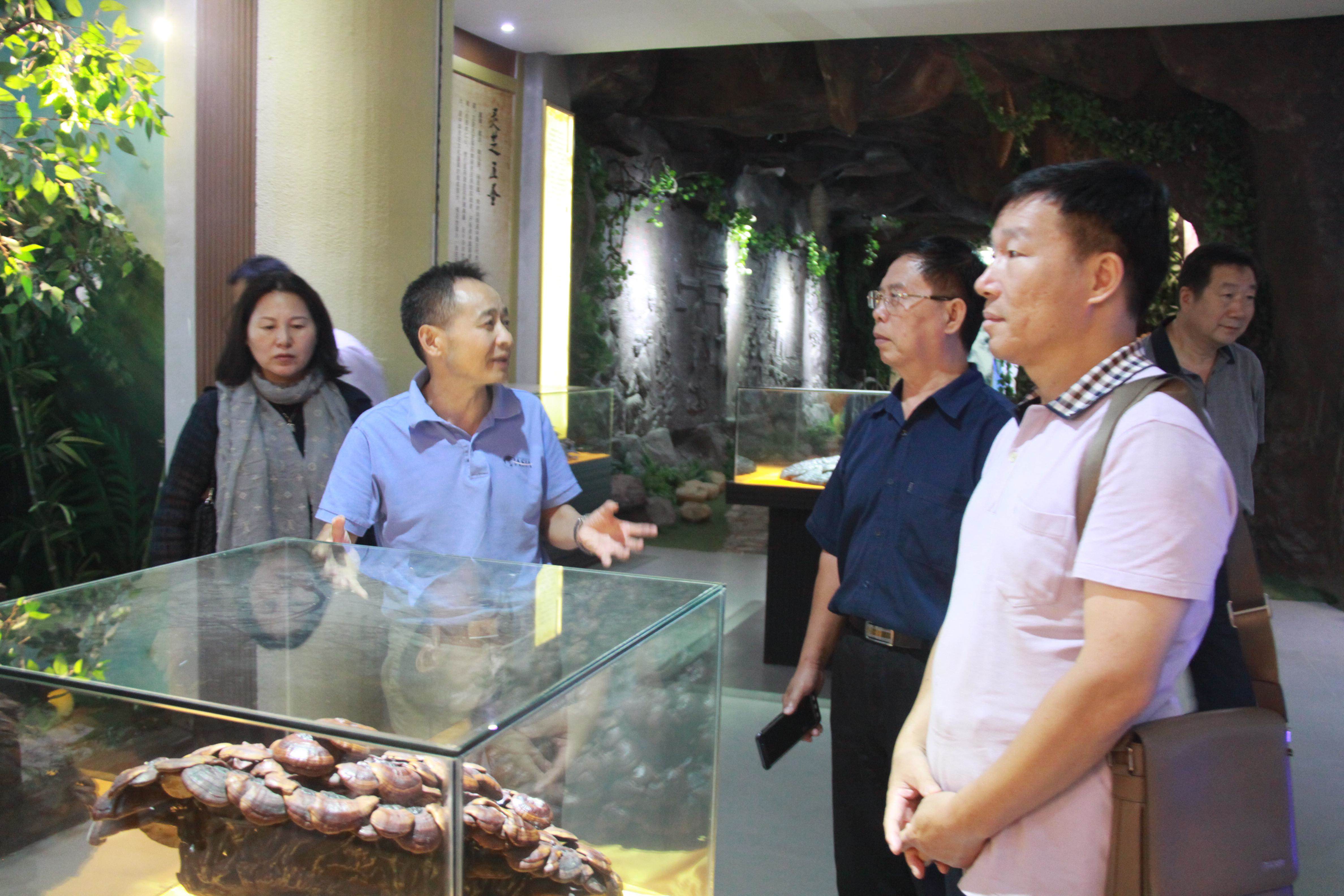 仙客來孢子粉|仙客來孢子油|仙客來靈芝|仙客來破壁孢子粉|江西老字號(hào) 仙客來孢子粉|仙客來孢子油|仙客來靈芝|仙客來破壁孢子粉|江西老字號(hào)