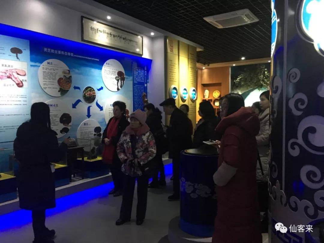 中國靈芝十大品牌|仙客來靈芝|仙客來靈芝破壁孢子粉|仙客來孢子油|仙客來靈芝飲片|仙客來破壁孢子粉|仙客來靈芝中藥飲片|馳名商標(biāo)|tianyabagua.cn| 中國靈芝十大品牌|仙客來靈芝|仙客來靈芝破壁孢子粉|仙客來孢子油|仙客來靈芝飲片|仙客來破壁孢子粉|仙客來靈芝中藥飲片|馳名商標(biāo)|tianyabagua.cn|