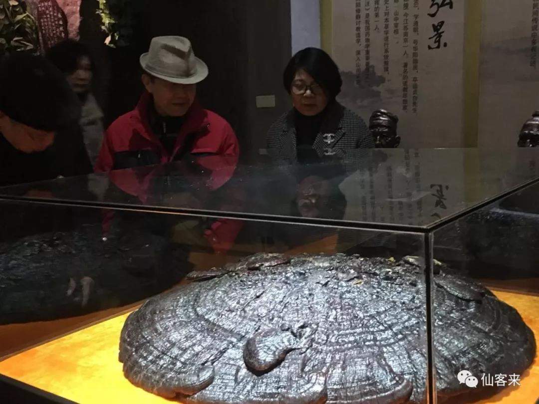 中國靈芝十大品牌|仙客來靈芝|仙客來靈芝破壁孢子粉|仙客來孢子油|仙客來靈芝飲片|仙客來破壁孢子粉|仙客來靈芝中藥飲片|馳名商標(biāo)|tianyabagua.cn| 中國靈芝十大品牌|仙客來靈芝|仙客來靈芝破壁孢子粉|仙客來孢子油|仙客來靈芝飲片|仙客來破壁孢子粉|仙客來靈芝中藥飲片|馳名商標(biāo)|tianyabagua.cn|