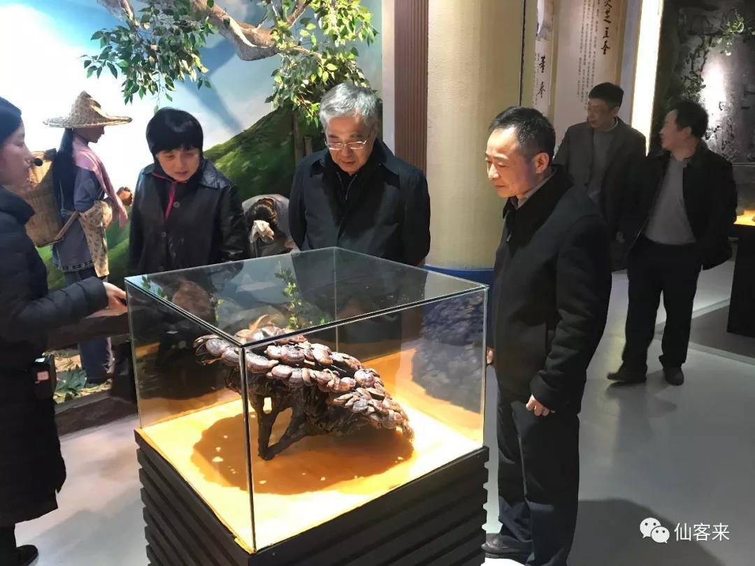 中國靈芝十大品牌|仙客來靈芝|仙客來靈芝破壁孢子粉|仙客來孢子油|仙客來靈芝飲片|仙客來破壁孢子粉|仙客來靈芝中藥飲片|馳名商標|tianyabagua.cn|