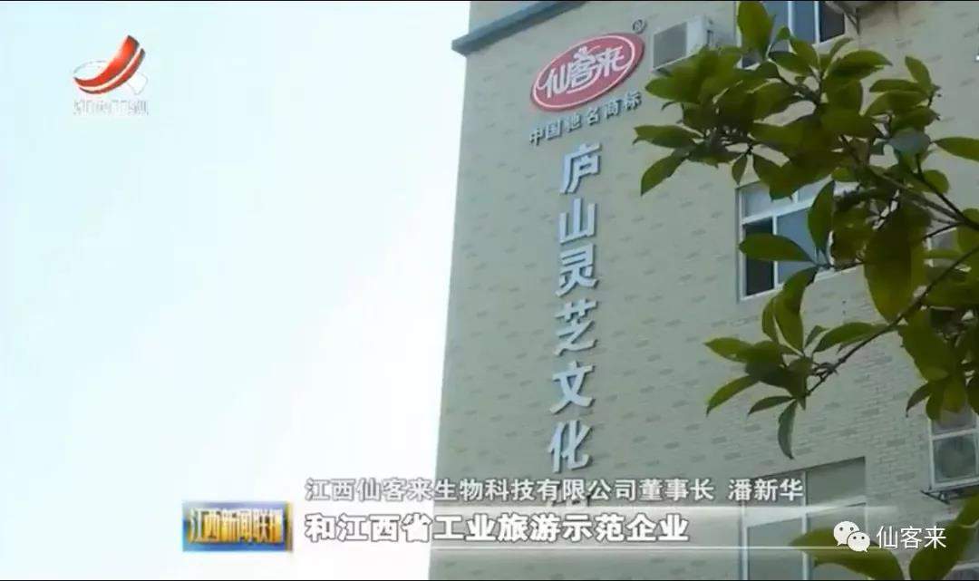 中國靈芝十大品牌|仙客來靈芝|仙客來靈芝破壁孢子粉|仙客來孢子油|仙客來靈芝飲片|仙客來破壁孢子粉|仙客來靈芝中藥飲片|馳名商標(biāo)|tianyabagua.cn| 中國靈芝十大品牌|仙客來靈芝|仙客來靈芝破壁孢子粉|仙客來孢子油|仙客來靈芝飲片|仙客來破壁孢子粉|仙客來靈芝中藥飲片|馳名商標(biāo)|tianyabagua.cn|