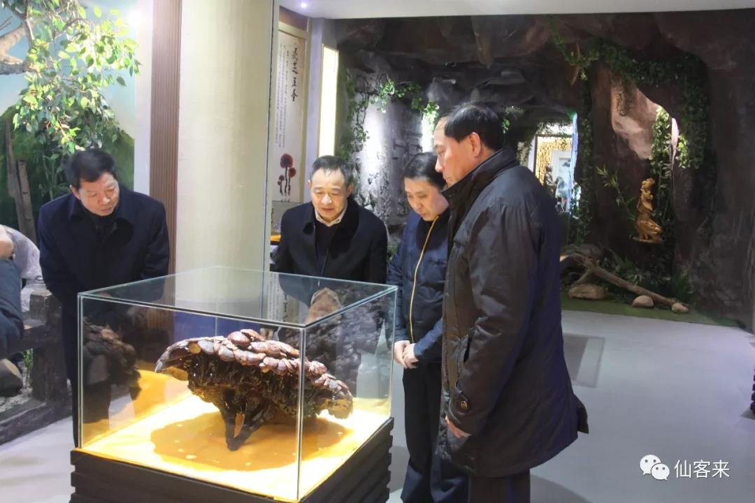 中國靈芝十大品牌|仙客來靈芝|仙客來靈芝破壁孢子粉|仙客來孢子油|仙客來靈芝飲片|仙客來破壁孢子粉|仙客來靈芝中藥飲片|馳名商標(biāo)|tianyabagua.cn|