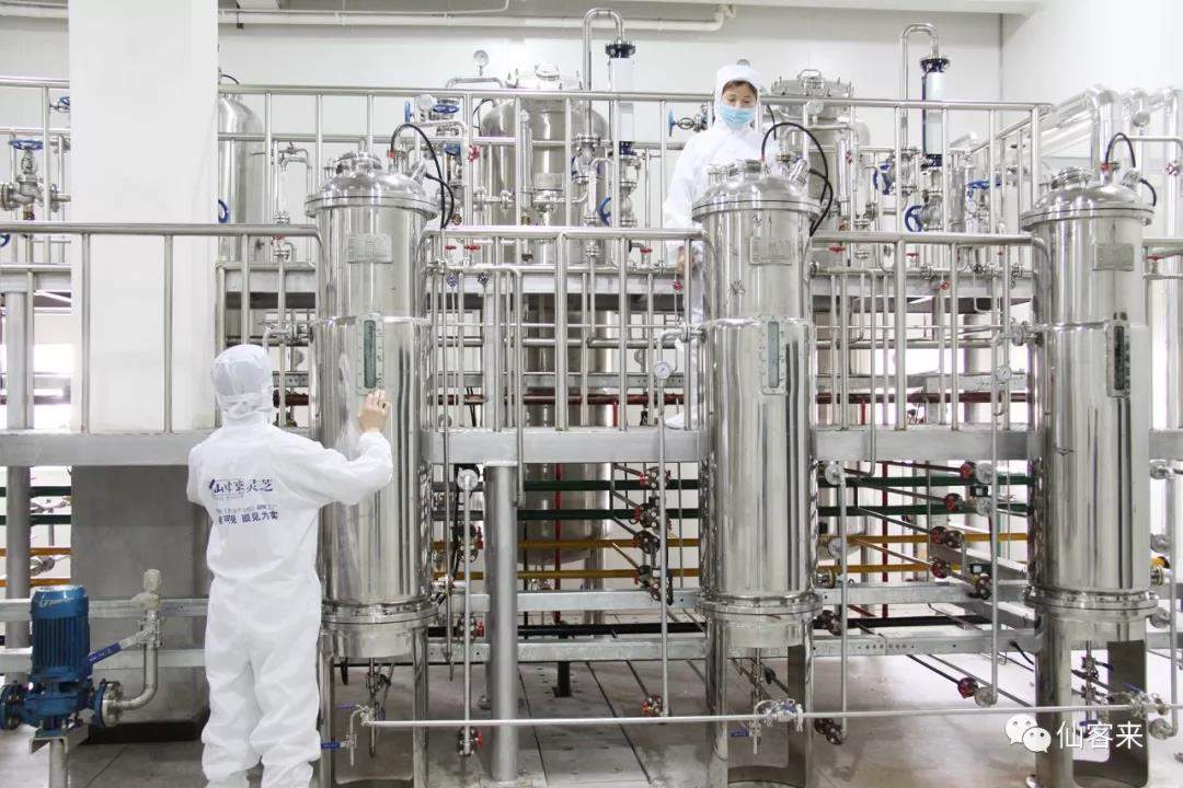 中國(guó)靈芝十大品牌|仙客來靈芝|仙客來靈芝破壁孢子粉|仙客來孢子油|仙客來靈芝飲片|仙客來破壁孢子粉|仙客來靈芝中藥飲片|馳名商標(biāo)|tianyabagua.cn|