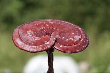 1553758762535713.png 1553758762535713.png