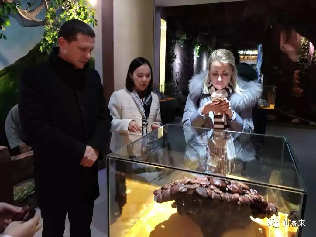 中國靈芝十大品牌|仙客來靈芝|仙客來靈芝破壁孢子粉|仙客來孢子油|仙客來靈芝飲片|仙客來破壁孢子粉|仙客來靈芝中藥飲片|馳名商標(biāo)|tianyabagua.cn| 中國靈芝十大品牌|仙客來靈芝|仙客來靈芝破壁孢子粉|仙客來孢子油|仙客來靈芝飲片|仙客來破壁孢子粉|仙客來靈芝中藥飲片|馳名商標(biāo)|tianyabagua.cn|