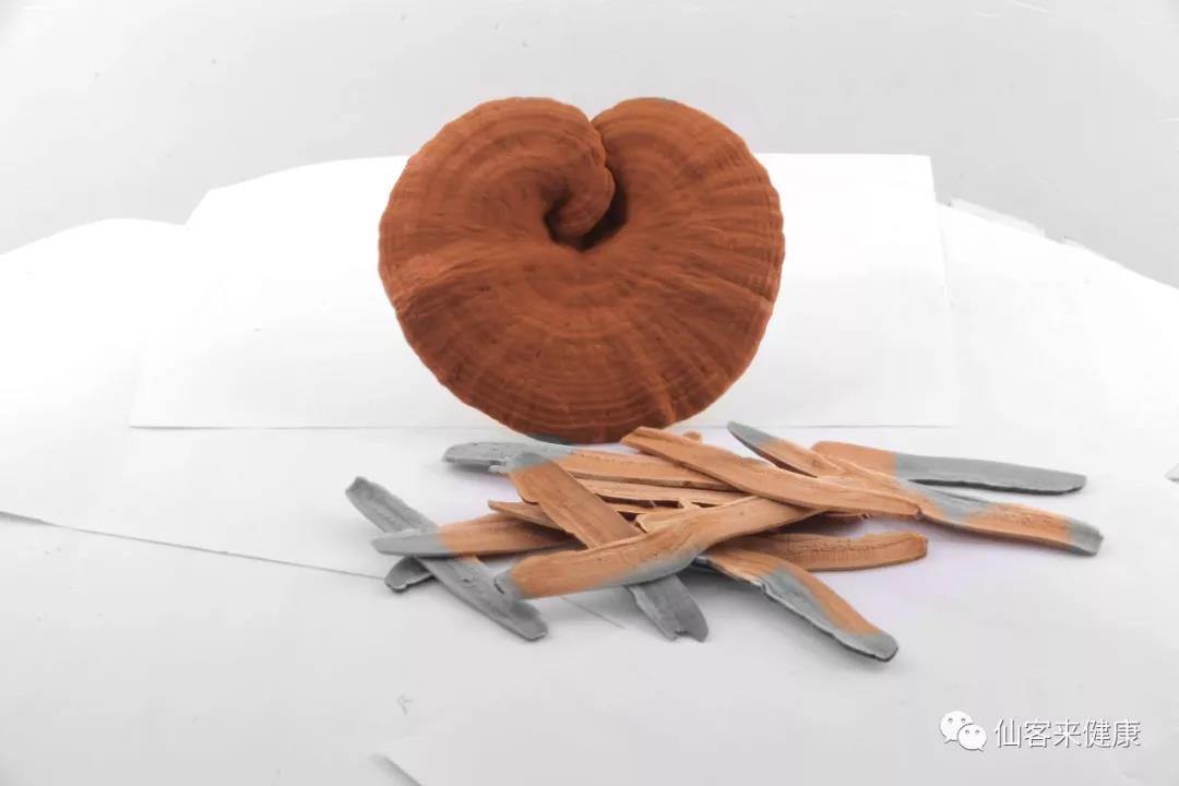 中國靈芝十大品牌|仙客來靈芝|仙客來靈芝破壁孢子粉|仙客來孢子油|仙客來靈芝飲片|仙客來破壁孢子粉|仙客來靈芝中藥飲片|馳名商標|tianyabagua.cn| 中國靈芝十大品牌|仙客來靈芝|仙客來靈芝破壁孢子粉|仙客來孢子油|仙客來靈芝飲片|仙客來破壁孢子粉|仙客來靈芝中藥飲片|馳名商標|tianyabagua.cn|