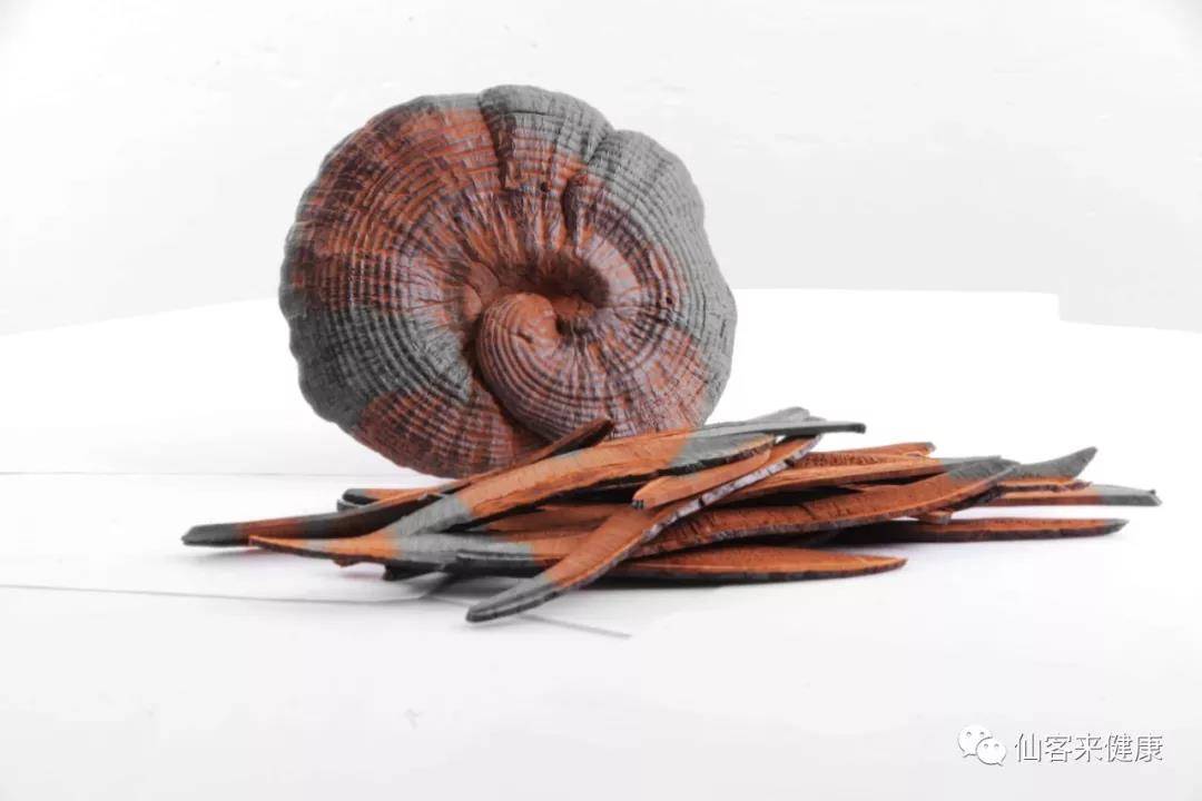 中國靈芝十大品牌|仙客來靈芝|仙客來靈芝破壁孢子粉|仙客來孢子油|仙客來靈芝飲片|仙客來破壁孢子粉|仙客來靈芝中藥飲片|馳名商標|tianyabagua.cn| 中國靈芝十大品牌|仙客來靈芝|仙客來靈芝破壁孢子粉|仙客來孢子油|仙客來靈芝飲片|仙客來破壁孢子粉|仙客來靈芝中藥飲片|馳名商標|tianyabagua.cn|