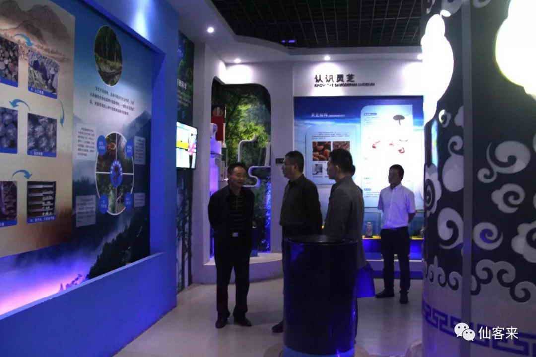 中國靈芝十大品牌|仙客來靈芝|仙客來靈芝破壁孢子粉|仙客來孢子油|仙客來靈芝飲片|仙客來破壁孢子粉|仙客來靈芝中藥飲片|馳名商標(biāo)|tianyabagua.cn| 中國靈芝十大品牌|仙客來靈芝|仙客來靈芝破壁孢子粉|仙客來孢子油|仙客來靈芝飲片|仙客來破壁孢子粉|仙客來靈芝中藥飲片|馳名商標(biāo)|tianyabagua.cn|