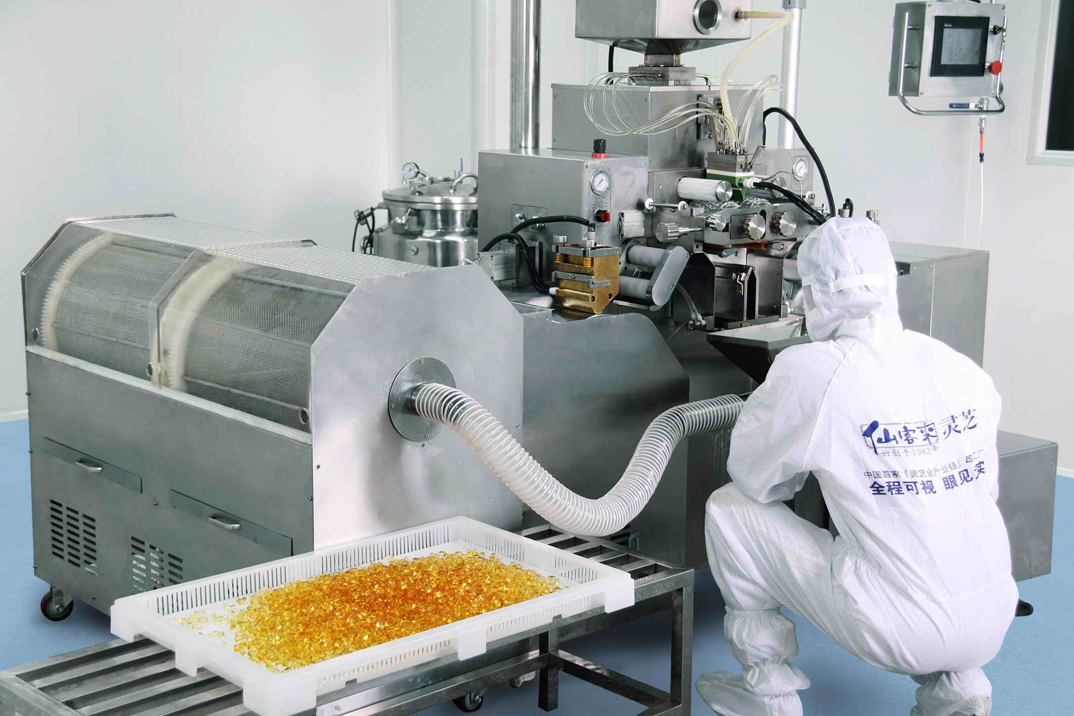 1556171932355089.jpg 杭州亞運會官方靈芝產品供應商|杭州亞運會官方供應商|中國靈芝十大品牌|仙客來靈芝|仙客來靈芝破壁孢子粉|仙客來孢子油|仙客來靈芝飲片|仙客來破壁孢子粉|靈芝孢子油|孢子粉|靈芝破壁孢子粉|靈芝|中華老字號