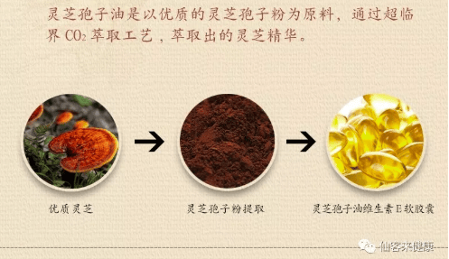 中國(guó)靈芝十大品牌|仙客來靈芝|仙客來靈芝破壁孢子粉|仙客來孢子油|仙客來靈芝飲片|仙客來破壁孢子粉|仙客來靈芝中藥飲片|馳名商標(biāo)|tianyabagua.cn| 中國(guó)靈芝十大品牌|仙客來靈芝|仙客來靈芝破壁孢子粉|仙客來孢子油|仙客來靈芝飲片|仙客來破壁孢子粉|仙客來靈芝中藥飲片|馳名商標(biāo)|tianyabagua.cn|