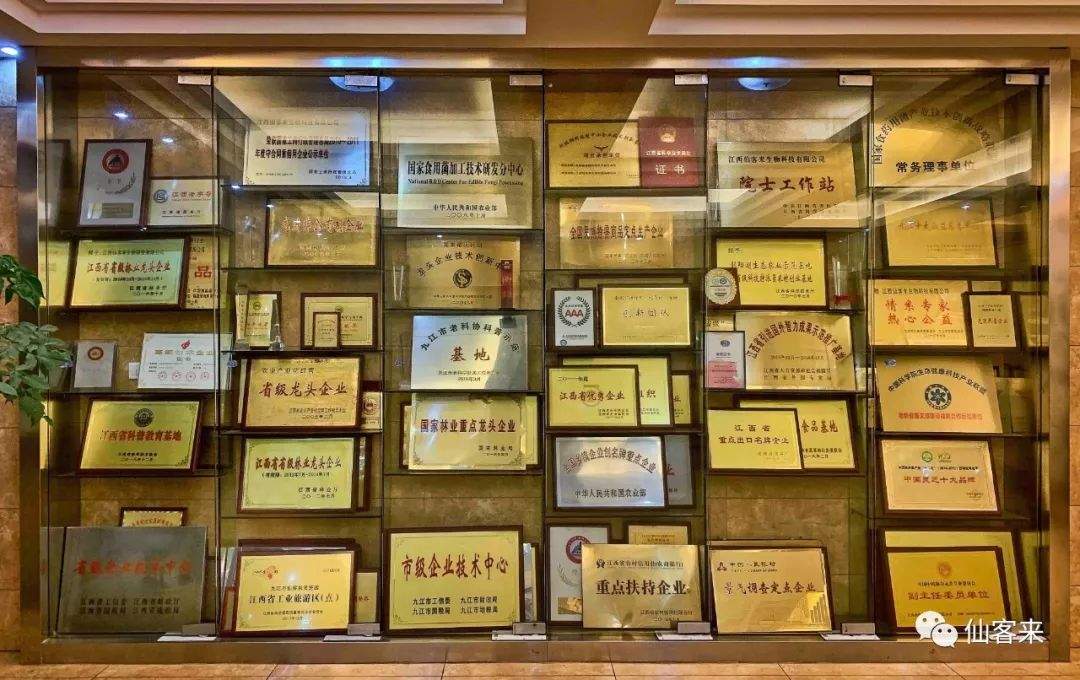 杭州亞運會官方靈芝產(chǎn)品供應(yīng)商|杭州亞運會官方供應(yīng)商|中國靈芝十大品牌|仙客來靈芝|仙客來靈芝破壁孢子粉|仙客來孢子油|仙客來靈芝飲片|仙客來破壁孢子粉|靈芝孢子油|孢子粉|靈芝破壁孢子粉|靈芝|中華老字號 杭州亞運會官方靈芝產(chǎn)品供應(yīng)商|杭州亞運會官方供應(yīng)商|中國靈芝十大品牌|仙客來靈芝|仙客來靈芝破壁孢子粉|仙客來孢子油|仙客來靈芝飲片|仙客來破壁孢子粉|靈芝孢子油|孢子粉|靈芝破壁孢子粉|靈芝|中華老字號