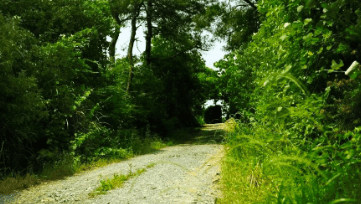 中國(guó)靈芝十大品牌|仙客來(lái)靈芝|仙客來(lái)靈芝破壁孢子粉|仙客來(lái)孢子油|仙客來(lái)靈芝飲片|仙客來(lái)破壁孢子粉|仙客來(lái)靈芝中藥飲片|馳名商標(biāo)|tianyabagua.cn| 中國(guó)靈芝十大品牌|仙客來(lái)靈芝|仙客來(lái)靈芝破壁孢子粉|仙客來(lái)孢子油|仙客來(lái)靈芝飲片|仙客來(lái)破壁孢子粉|仙客來(lái)靈芝中藥飲片|馳名商標(biāo)|tianyabagua.cn|