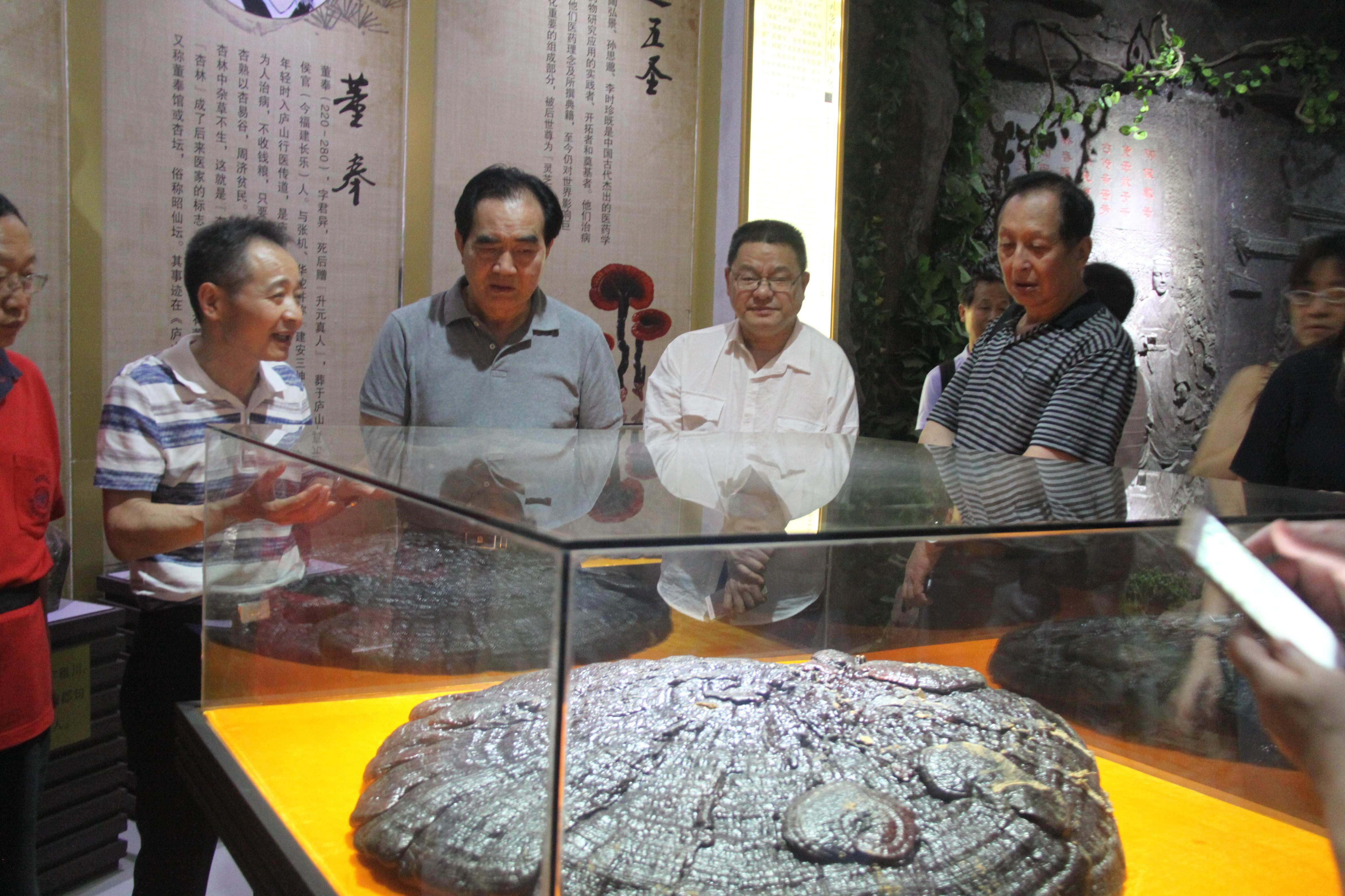 中國(guó)靈芝十大品牌|仙客來靈芝|仙客來靈芝破壁孢子粉|仙客來孢子油|仙客來靈芝飲片|仙客來破壁孢子粉|仙客來靈芝中藥飲片|馳名商標(biāo)|tianyabagua.cn| 中國(guó)靈芝十大品牌|仙客來靈芝|仙客來靈芝破壁孢子粉|仙客來孢子油|仙客來靈芝飲片|仙客來破壁孢子粉|仙客來靈芝中藥飲片|馳名商標(biāo)|tianyabagua.cn|