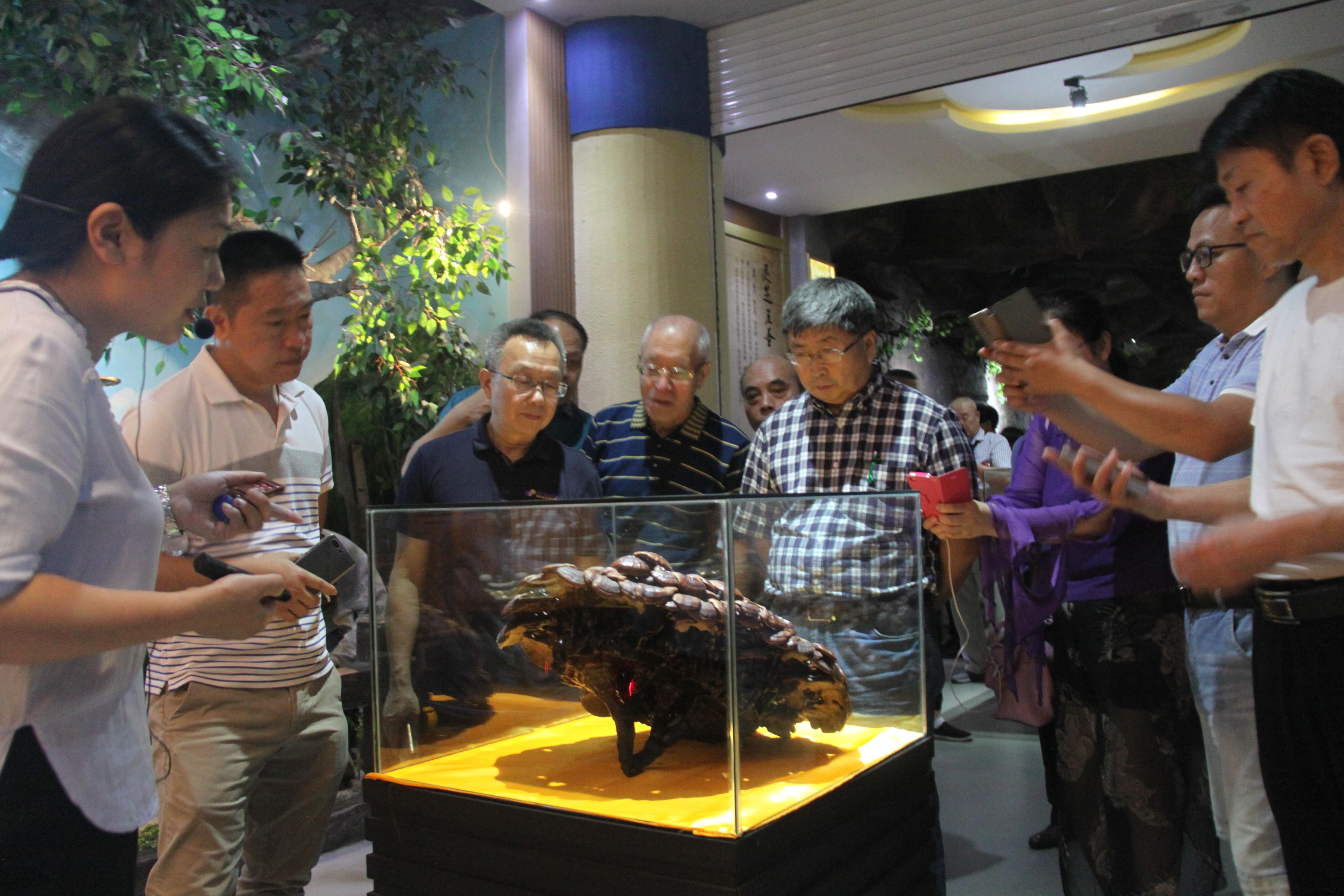 中國(guó)靈芝十大品牌|仙客來靈芝|仙客來靈芝破壁孢子粉|仙客來孢子油|仙客來靈芝飲片|仙客來破壁孢子粉|仙客來靈芝中藥飲片|馳名商標(biāo)|tianyabagua.cn| 中國(guó)靈芝十大品牌|仙客來靈芝|仙客來靈芝破壁孢子粉|仙客來孢子油|仙客來靈芝飲片|仙客來破壁孢子粉|仙客來靈芝中藥飲片|馳名商標(biāo)|tianyabagua.cn|