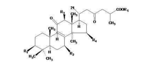 中國靈芝十大品牌|仙客來靈芝|仙客來靈芝破壁孢子粉|仙客來孢子油|仙客來靈芝飲片|仙客來破壁孢子粉|仙客來靈芝中藥飲片|馳名商標|tianyabagua.cn| 中國靈芝十大品牌|仙客來靈芝|仙客來靈芝破壁孢子粉|仙客來孢子油|仙客來靈芝飲片|仙客來破壁孢子粉|仙客來靈芝中藥飲片|馳名商標|tianyabagua.cn|