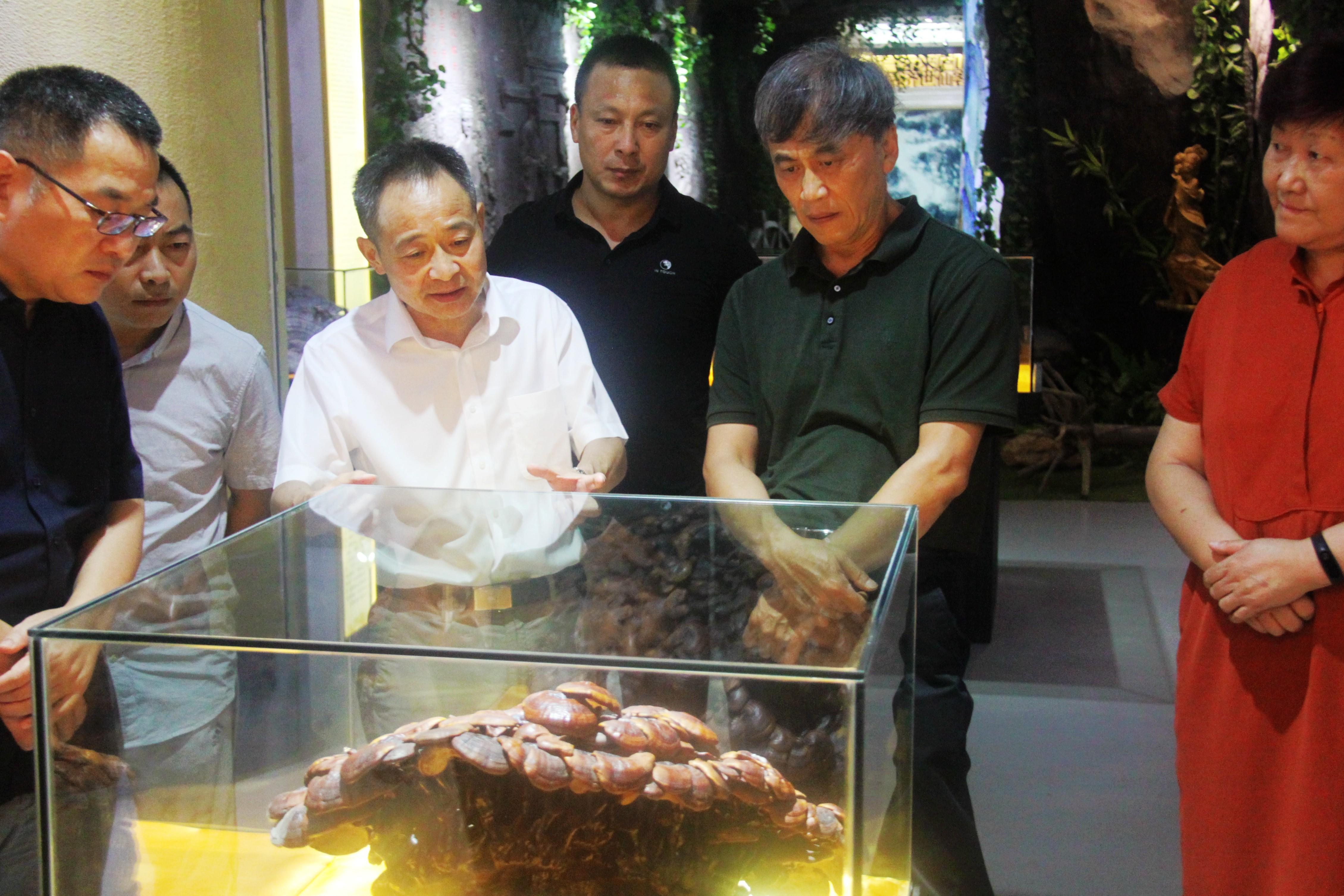 中國靈芝十大品牌|仙客來靈芝|仙客來靈芝破壁孢子粉|仙客來孢子油|仙客來靈芝飲片|仙客來破壁孢子粉|仙客來靈芝中藥飲片|馳名商標(biāo)|tianyabagua.cn| 中國靈芝十大品牌|仙客來靈芝|仙客來靈芝破壁孢子粉|仙客來孢子油|仙客來靈芝飲片|仙客來破壁孢子粉|仙客來靈芝中藥飲片|馳名商標(biāo)|tianyabagua.cn|