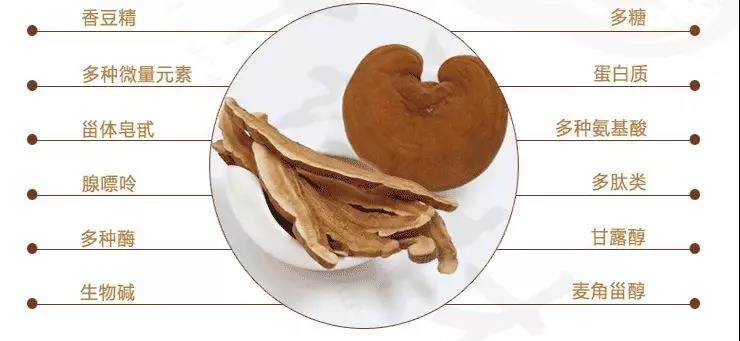 中國靈芝十大品牌|仙客來靈芝|仙客來靈芝破壁孢子粉|仙客來孢子油|仙客來靈芝飲片|仙客來破壁孢子粉|仙客來靈芝中藥飲片|馳名商標(biāo)|tianyabagua.cn| 中國靈芝十大品牌|仙客來靈芝|仙客來靈芝破壁孢子粉|仙客來孢子油|仙客來靈芝飲片|仙客來破壁孢子粉|仙客來靈芝中藥飲片|馳名商標(biāo)|tianyabagua.cn|